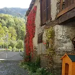 Les Narcisses * Cier-de-Luchon