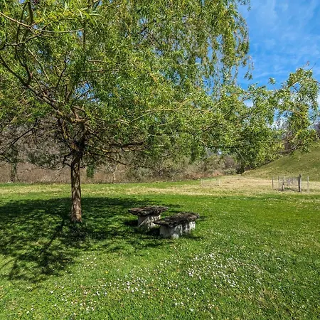 بيت للعطل Les Narcisses