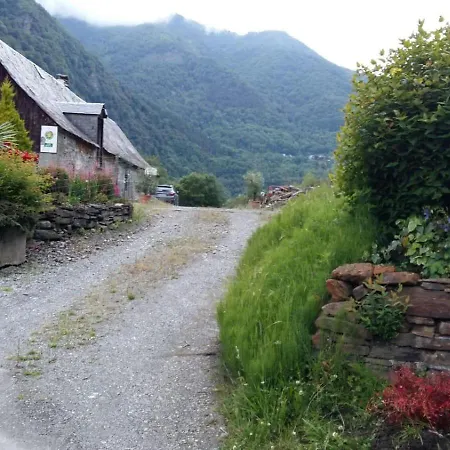 Les Narcisses * Cier-de-Luchon