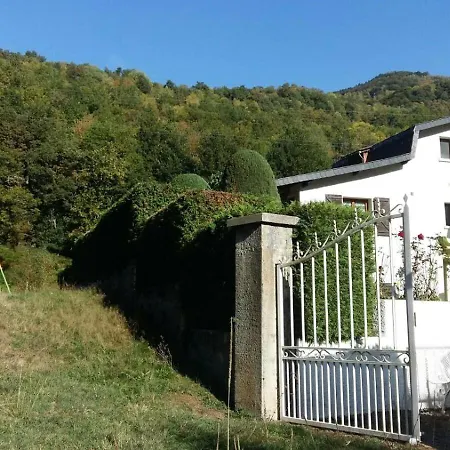Les Narcisses Cier-de-Luchon