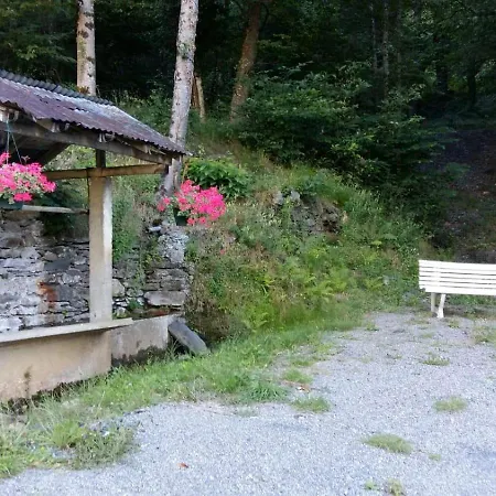 Les Narcisses * Cier-de-Luchon