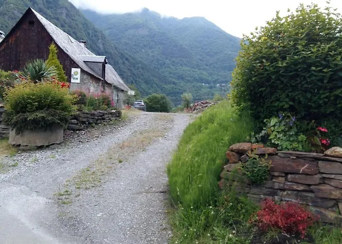 Les Narcisses * Cier-de-Luchon