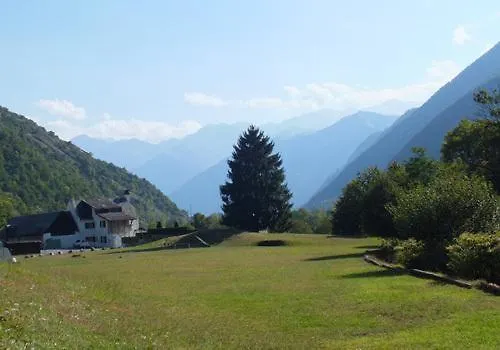Les Narcisses * Cier-de-Luchon