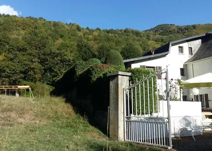 Les Narcisses Cier-de-Luchon