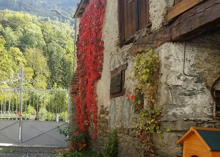 Les Narcisses * Cier-de-Luchon