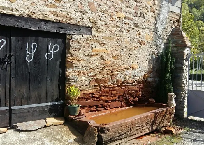 Les Narcisses * Cier-de-Luchon