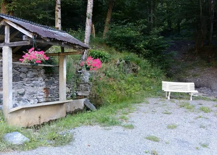 Les Narcisses * Cier-de-Luchon